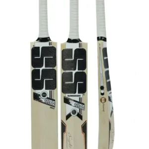 SS Sky 360 English Willow Bat