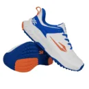 DSC Endgame Cricket Rubber Shoes in white and green with reinforced toe and TPU heel counter.