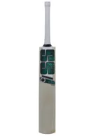 SS Master 1000 English Willow Cricket Bat with embossed chrome stickers and black/aqua grip.