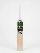 SS Tim David Player Kashmir Willow Bat, showing the aggressive thick-edged profile, short cane handle, and signature Tim David series decals.