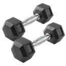 PowerMax DRH-02.5 2.5KG Hex Dumbbell Pair PowerMax Rubber Coated Hexagon Dumbbells 2.5kg Gym Hex Dumbbells PowerMax Strength Training Weights Anti Roll Rubber Dumbbells