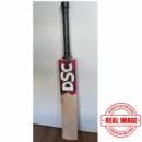 DSC INTENSE ATTITUDE ENGLISH WILLOW BAT