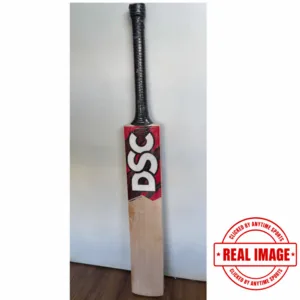 DSC INTENSE ATTITUDE ENGLISH WILLOW BAT