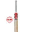 Grey Nicolls GNX 1000 Big Gaint English Willow Cricket Bat
