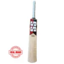 SS Vintage Pro English Willow Cricket Bat